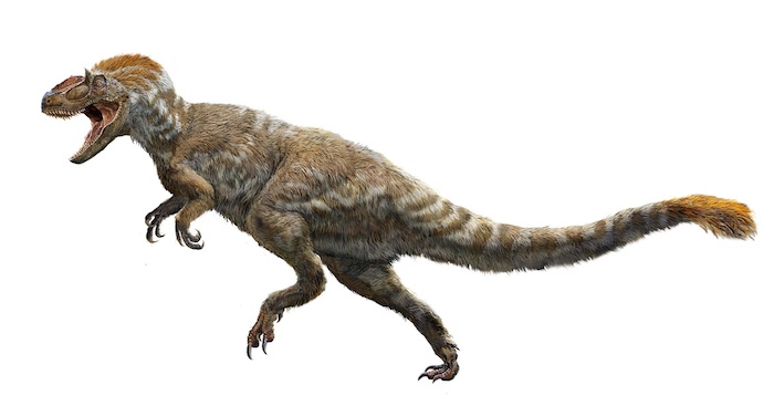 dinosaur has feathers