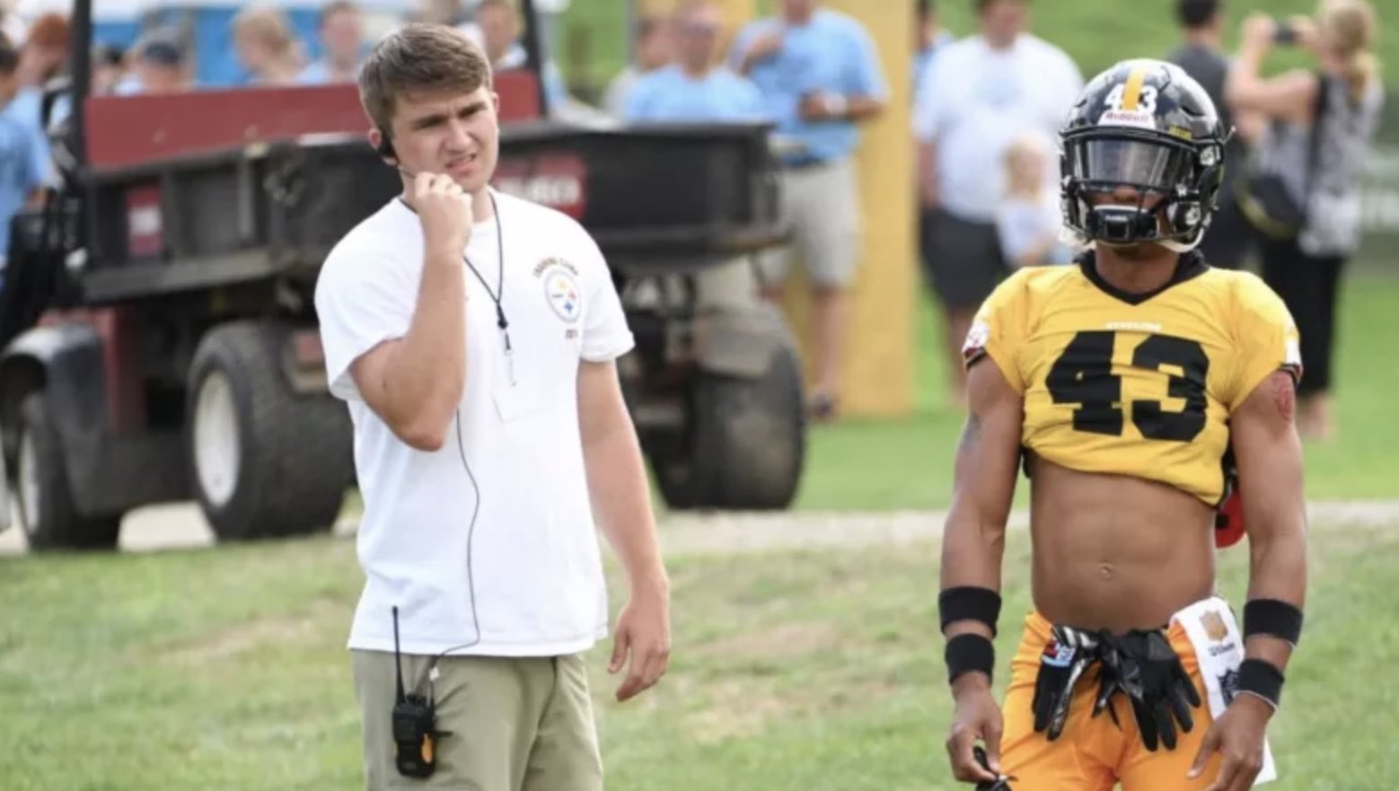 troy polamalu jersey retired