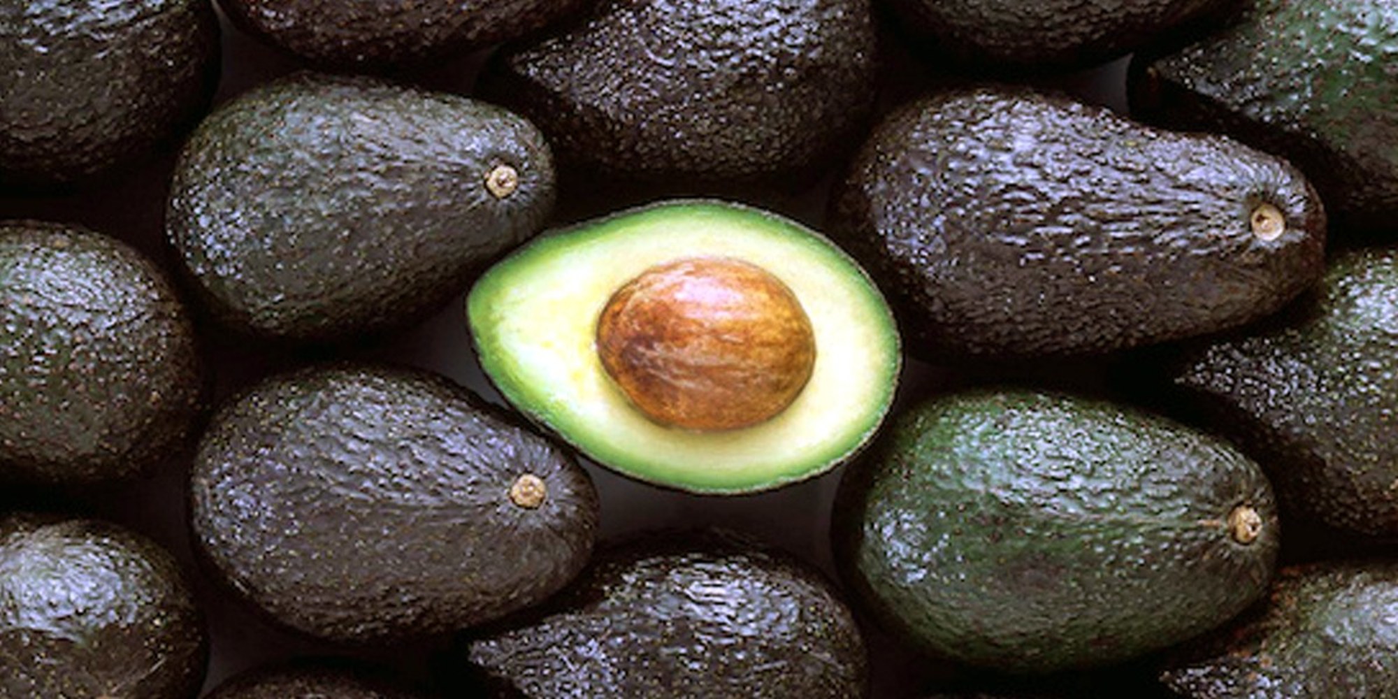 Avocado Thieves, Mind Altering Ticks & Killer Whale Crime - Blurred Culture